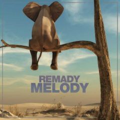 Hedonism 2020 Remady